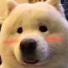 林四千