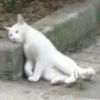更为奋斗