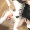 爱喝豆腐脑的头像-魔酷网