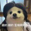 修勾要有狗德