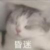 哦吼!