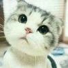 user88818