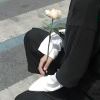 dandan152的头像-【TITAIKE】T太科网