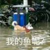 设置昵称神马