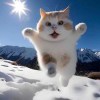 11284