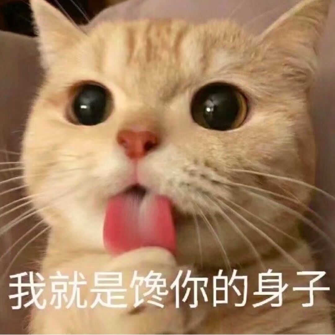 　　　　　　　　_503