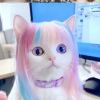 云泥