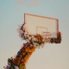 李好的头像-梦马考研