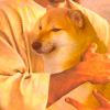 屑泄