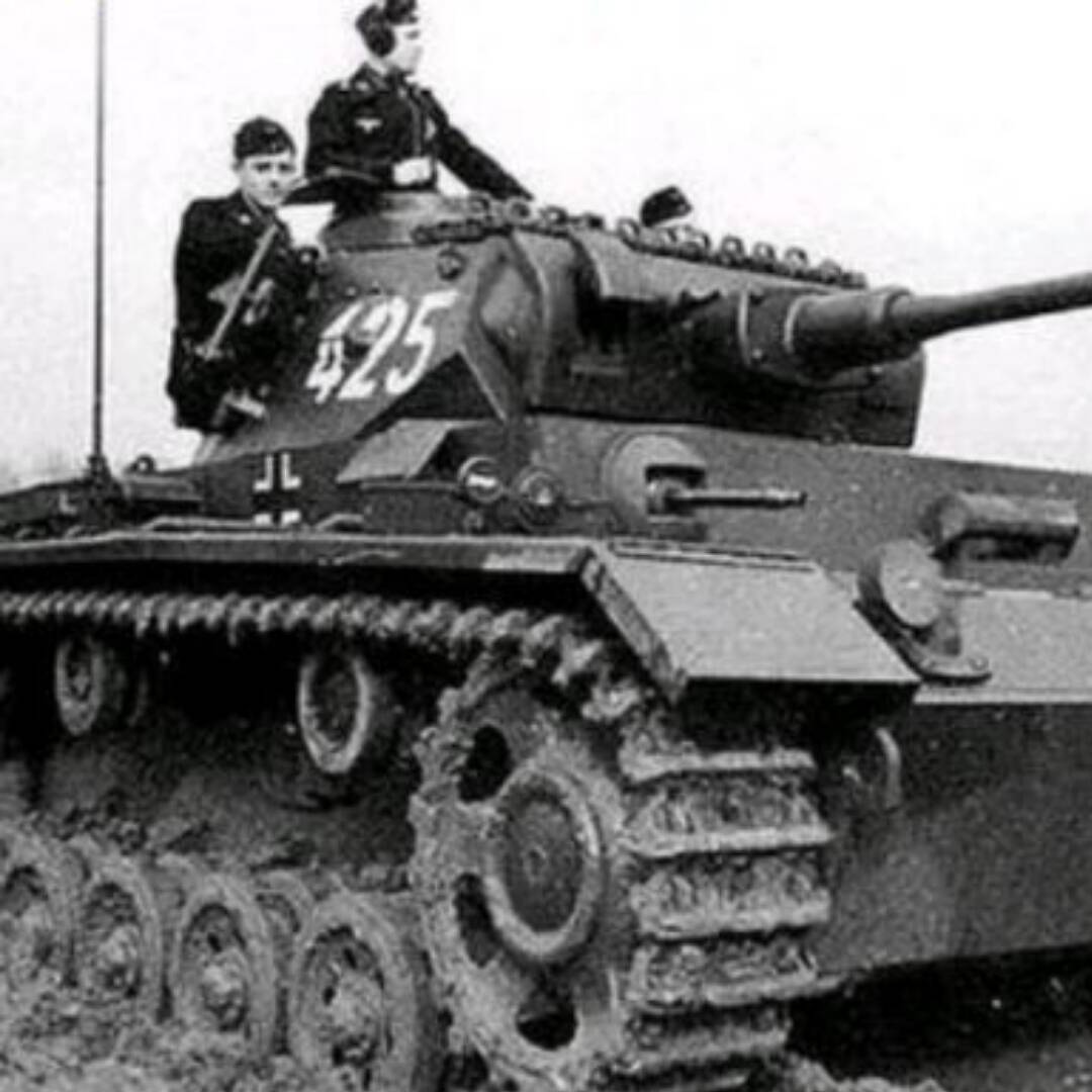 好吃的艺术细菌679