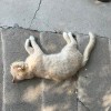 普通人jfjsn的头像-【TITAIKE】T太科网