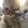 桐生战兔