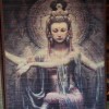 雀氏纸尿裤的头像-iPA资源站