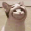 4595