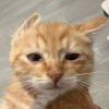 qq_DCFC2CBDABB22BE21D7C7AE0E8477C85