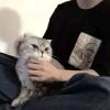 妄自
