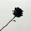 棍丹-iRightNow-游戏联机社区