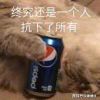弯的否