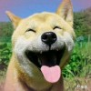 祥锅锅的头像 - 极核GetShell