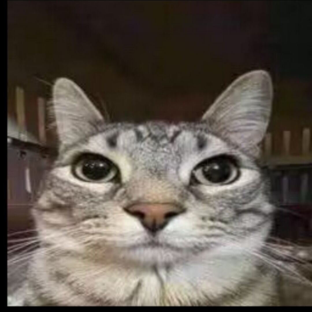 КЛМН-ШЬР