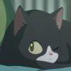 猫耳_697