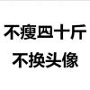 梦于月光