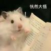 乌白马角的头像-iPA资源站