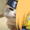 凡人执笔