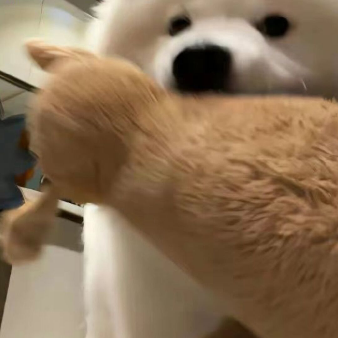 无名的万百