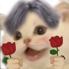 蕉太猫的头像|优聚轻创