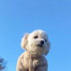 好斌