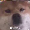 flysecret的头像-魔酷网