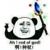 不许凶我