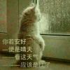 褚曾文