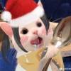 智勇双全小学生的头像-魔酷网