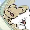 host的头像-【TITAIKE】T太科网