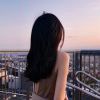 花落、随枫逝