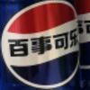 薇蕾禾狗