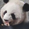 J10084的头像-魔酷网