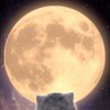用户89343501的头像-iPA资源站