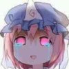 紫叮猫