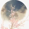 Figure的头像-七玩网