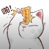 狸胤