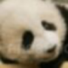 无敌烽火的头像-柱子三国-柱子工作室