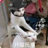 我没有名字
