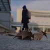 烹渔烟