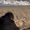阿猫_205