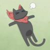 黑猫先生