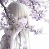 旷野第一糕手