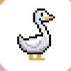 dark♂duck